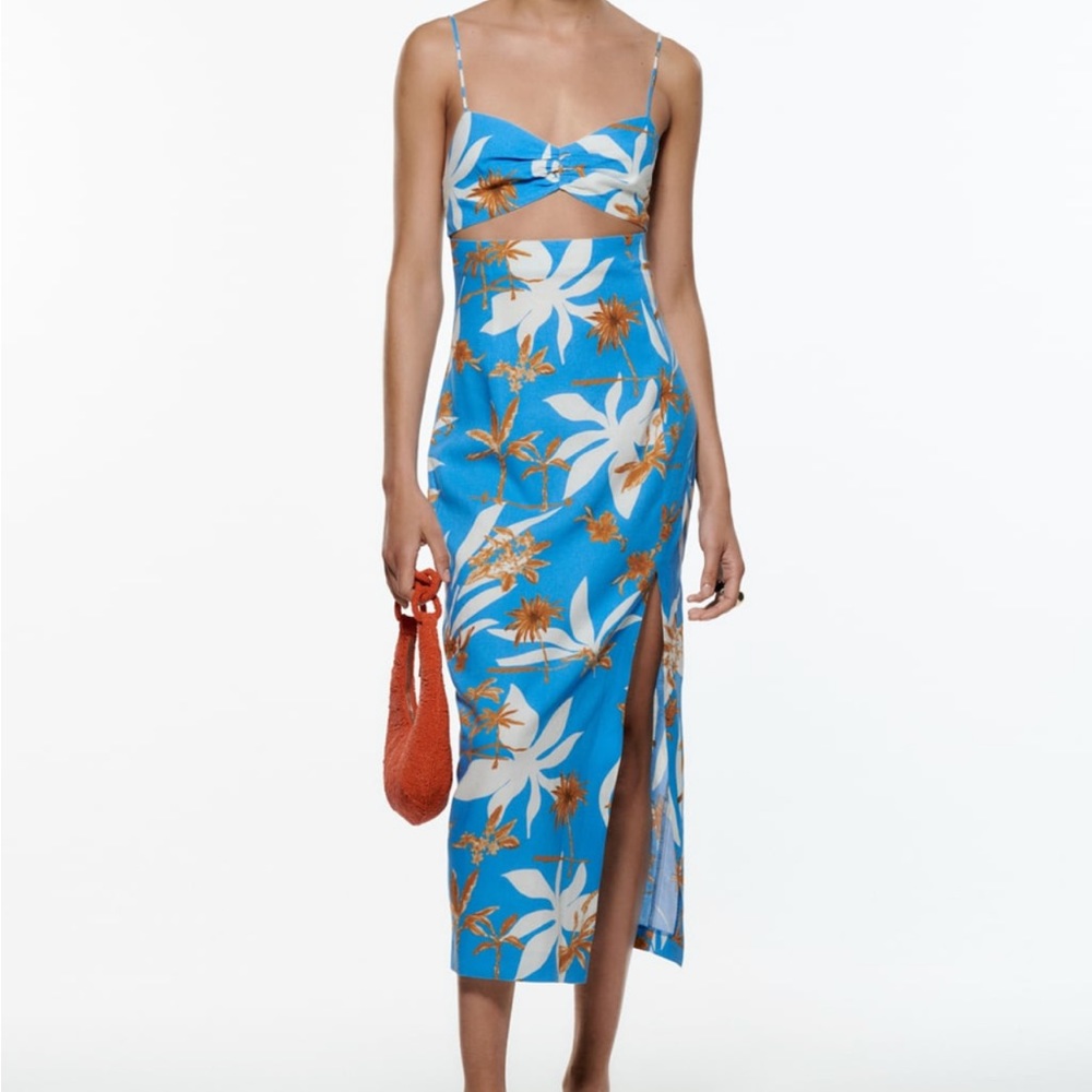 Zara Dress